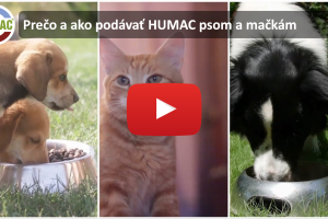 Prečo a ako podávať HUMAC psom a mačkám