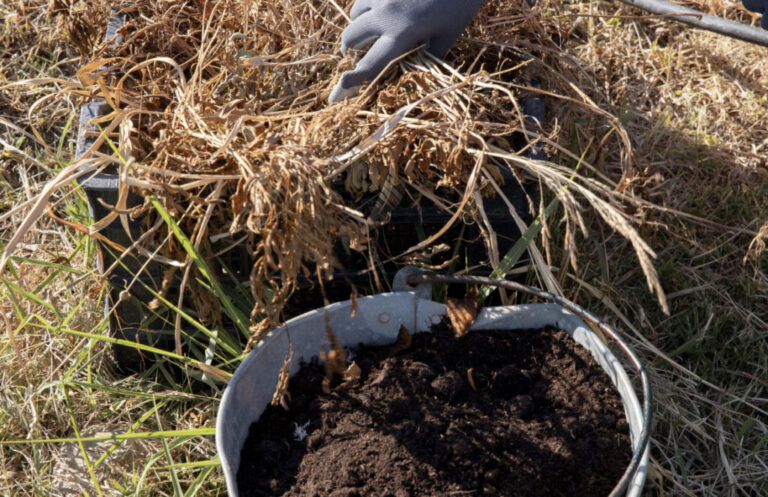 Zlepšite svoju zimnú prípravu pôdy pomocou HUMAC® Agro: Pestovanie plodín pre kvitnúcu jarnú úrodu